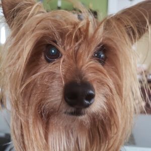 Meet your Posher, Andrea